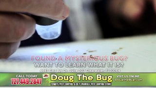 Doug The Bug | Termite, Pest Control & Do it Yourself Pest Control Store | 727.449.2847