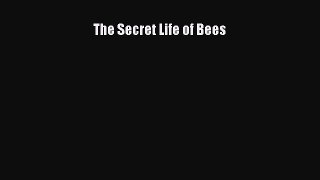 Download The Secret Life of Bees Ebook Free