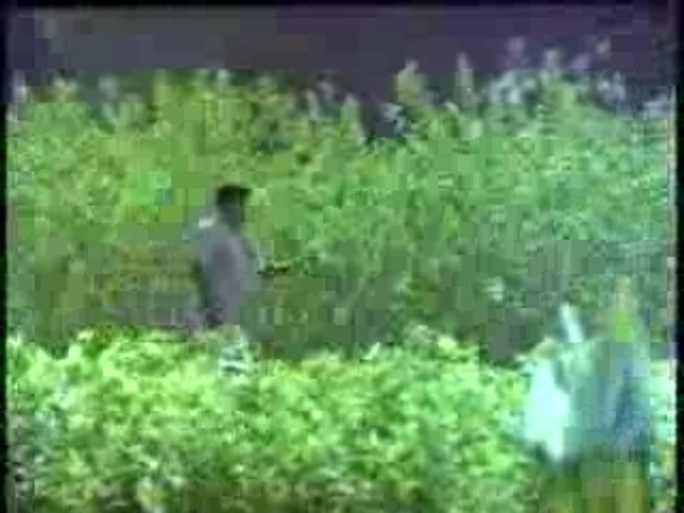 Poongaatru Thirumbumaa