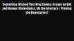 [PDF] Something Wicked This Way Comes: Essays on Evil and Human Wickedness. (At the Interface