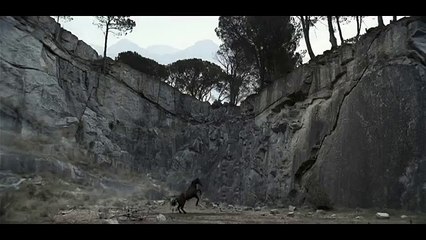 Tatra Beer - Horse Commercial