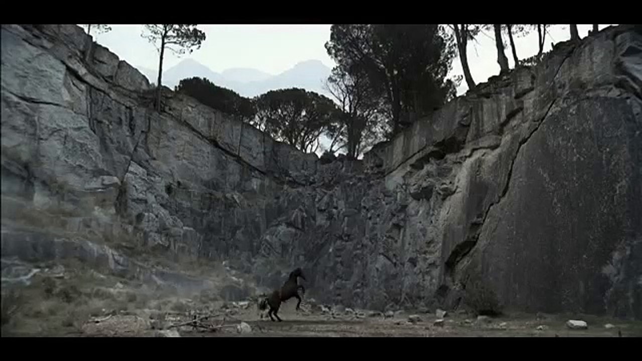 Tatra Beer - Horse Commercial