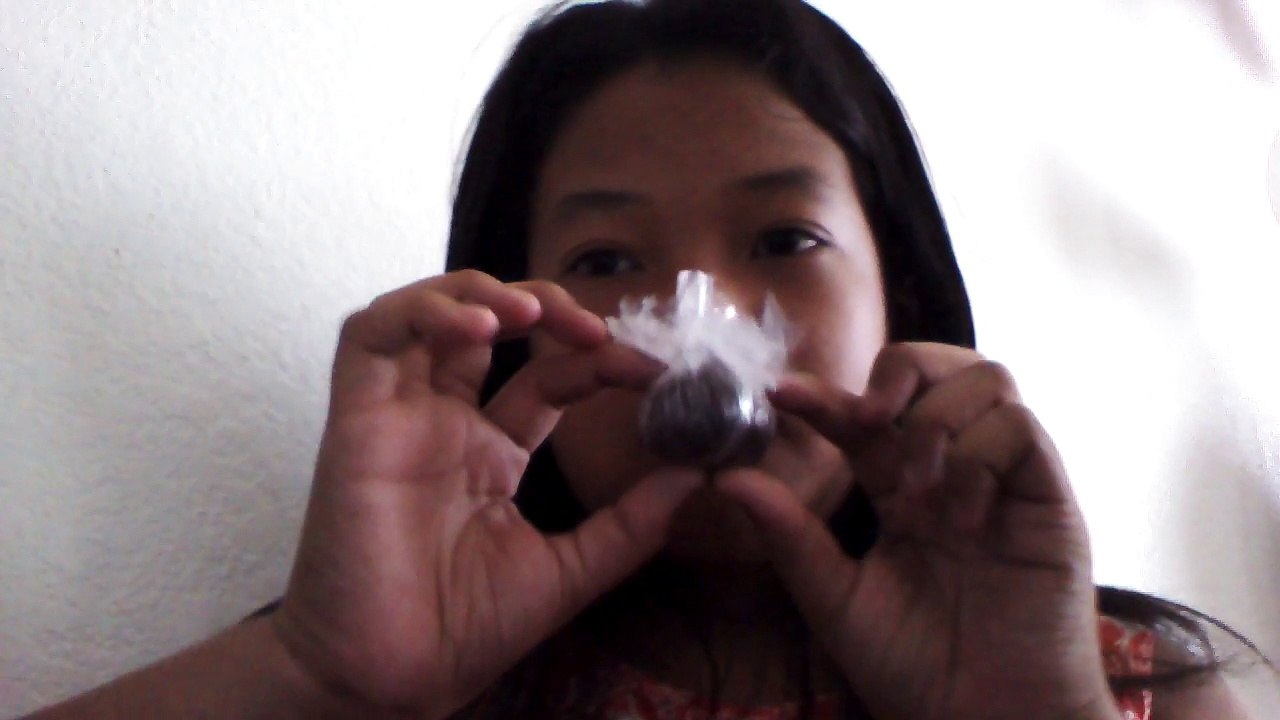 My chocolate truffle squishy