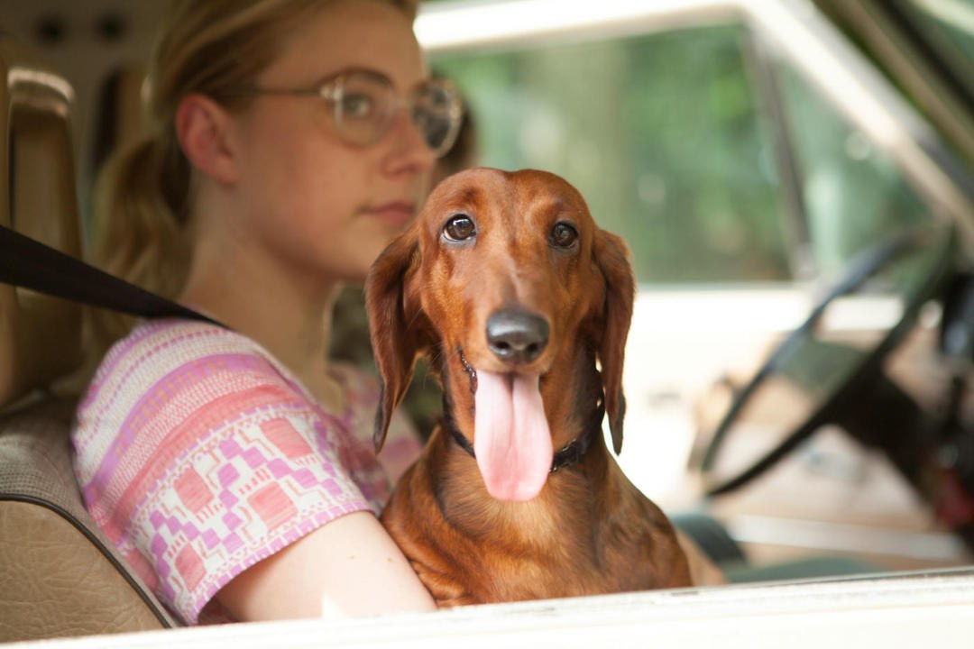 Wiener Dog - Trailer (Deutsch) HD