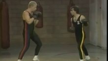 técnicas de savate