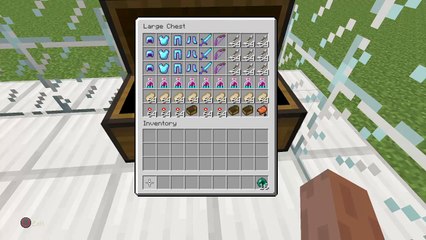 Minecraft fighting the ender dragon