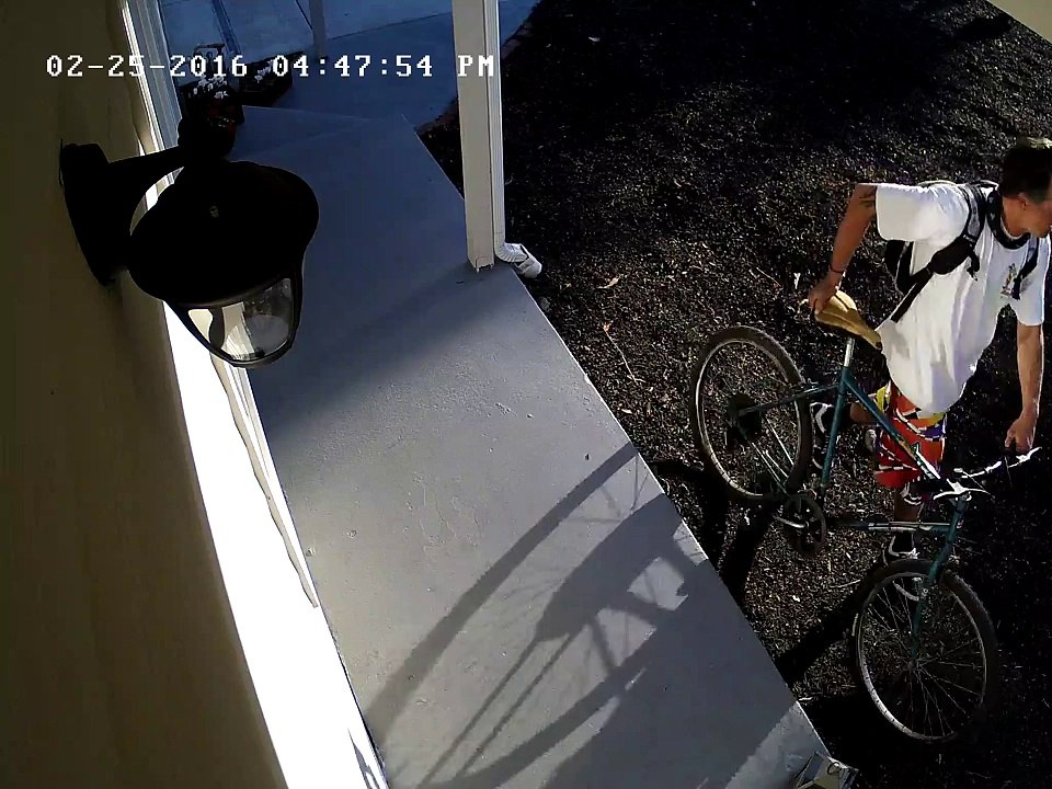 front door camera - 2/25 package thief