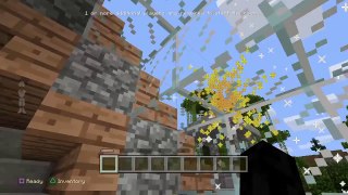 Minecraft: PlayStation®4 Battle Mode Glitches