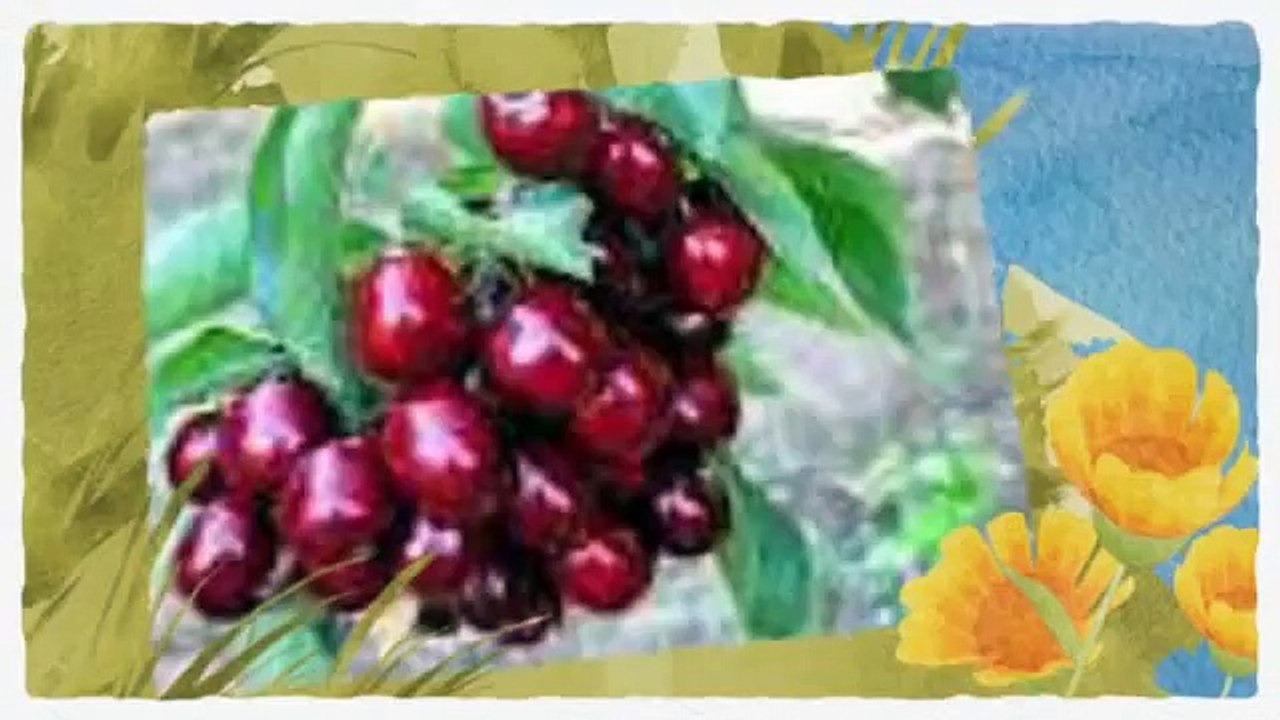 BENEFICIOS DE COMER CEREZAS 2