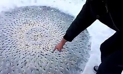 I Thought It Was Just A Strange Pattern In The Ice, But d It And THIS HappenedThen He Touche