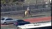 Pour protester ce fermier circule à cheval sur l'autoroute à Sydney
