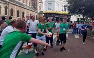 Euro 2016: un supporter irlandais marque le but du tournoi
