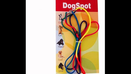 Dog Boarding San Marcos