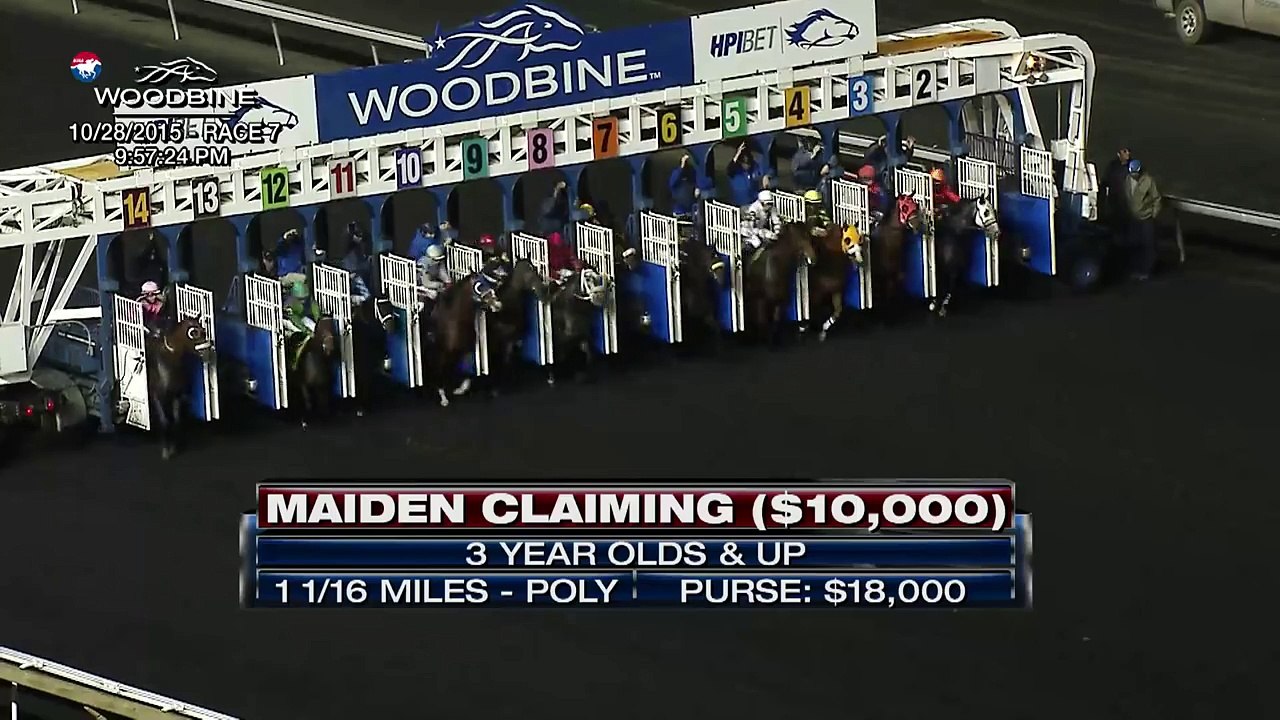 Woodbine, Tbred, Oct. 28, 2015 Race 7