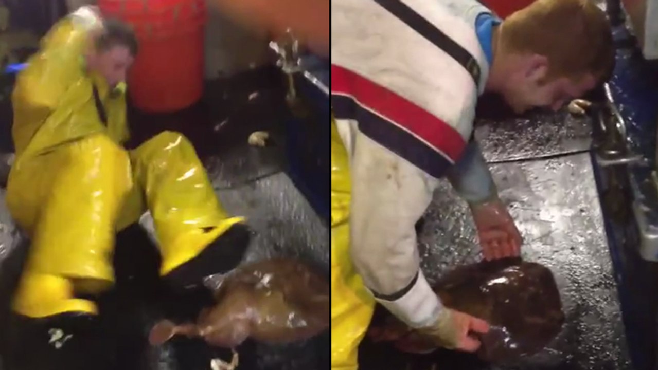 Ces deux pêcheurs essayent d'attraper une raie torpille (électrique) !