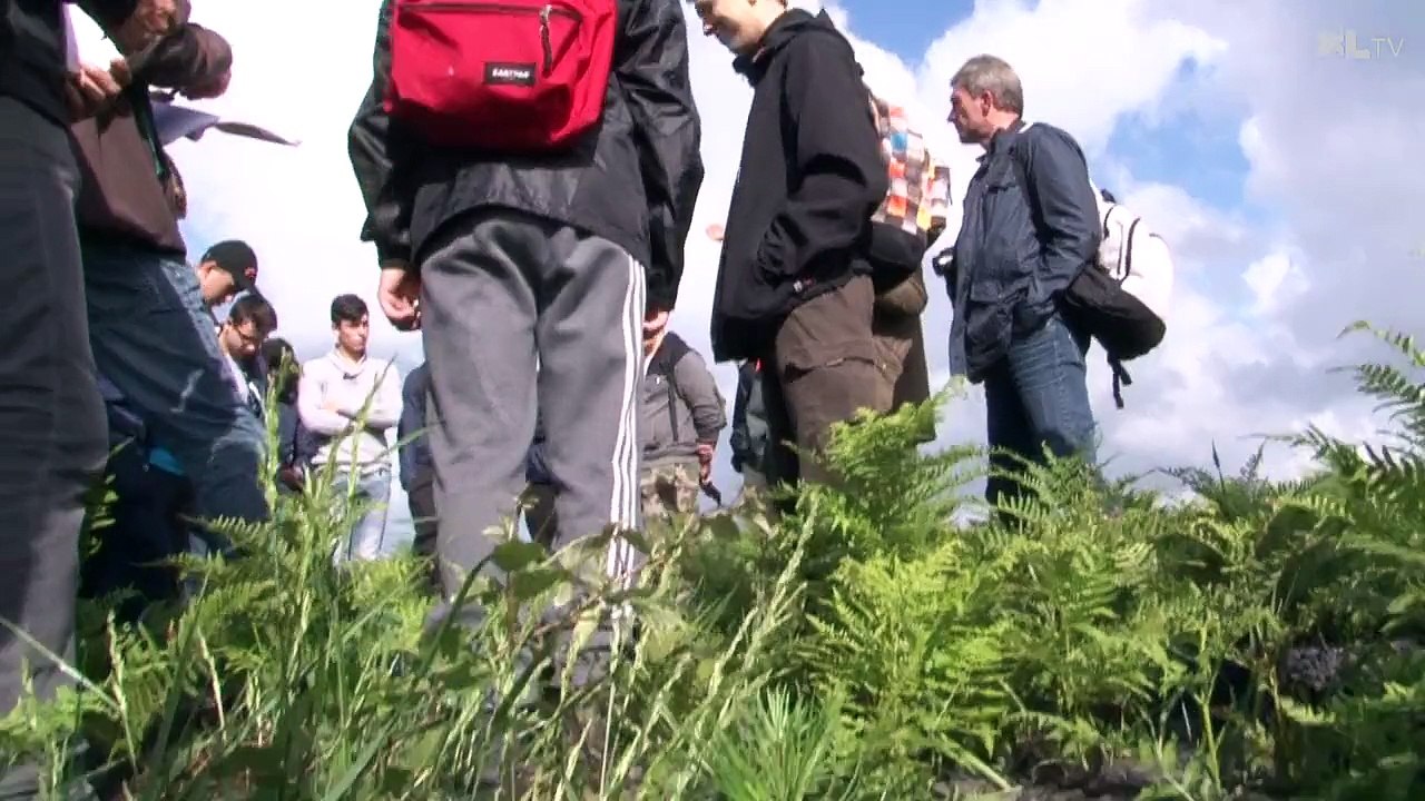 Forexpo : des étudiants normands à la découverte du massif landais
