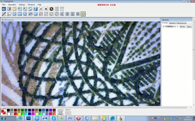 25-600X USB microscope test