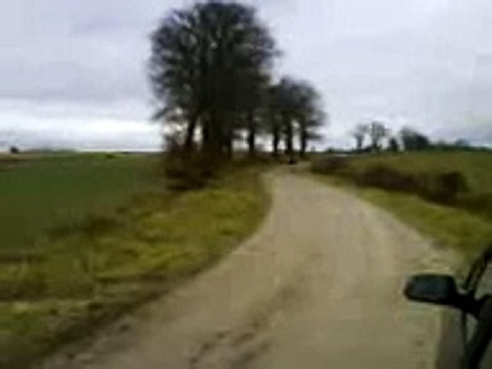 zup 25 brandon cross