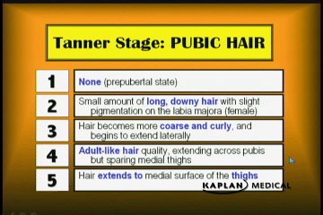 Ch.01_02_Tanner Stages of Development