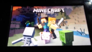 Minecraft Wii U Battle Mode | DO NOT JOIN PUBLIC BATTLE MODE GAMES!