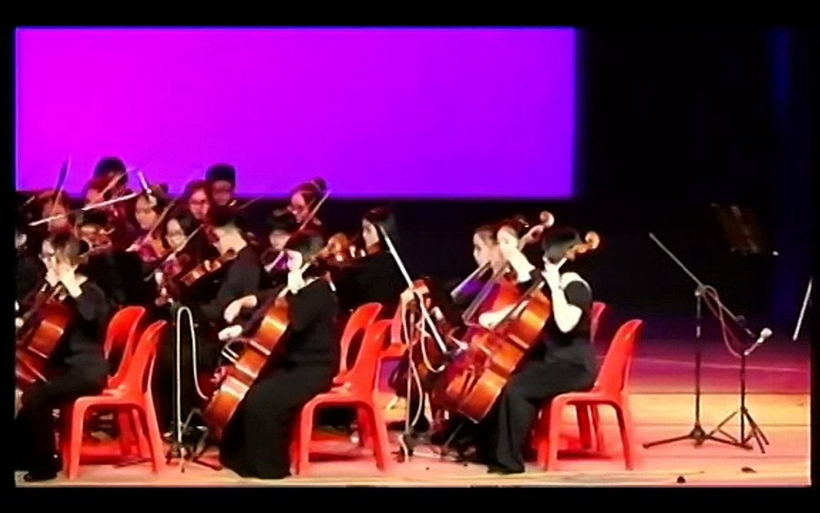 2016年文娱晚会弦乐团演出