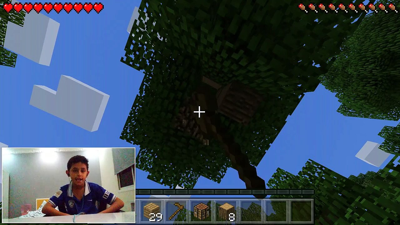 Minecraft the ps4 challenge!!!!