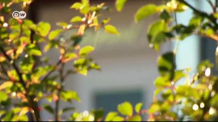 Zu Besuch in einer Luxusimmobilie auf Sylt | Euromaxx