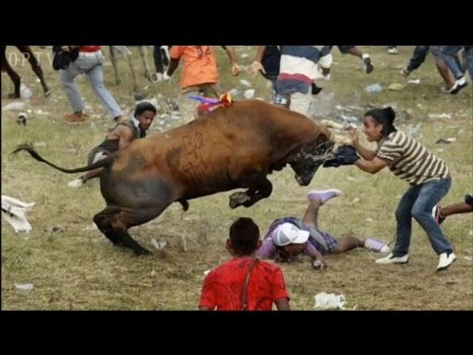 Funny Pics Taken at the Right Moment 2016 HD✔  | OPTV