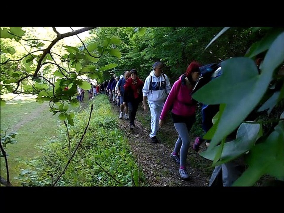 Randonnée de printemps sur la ferrée verte