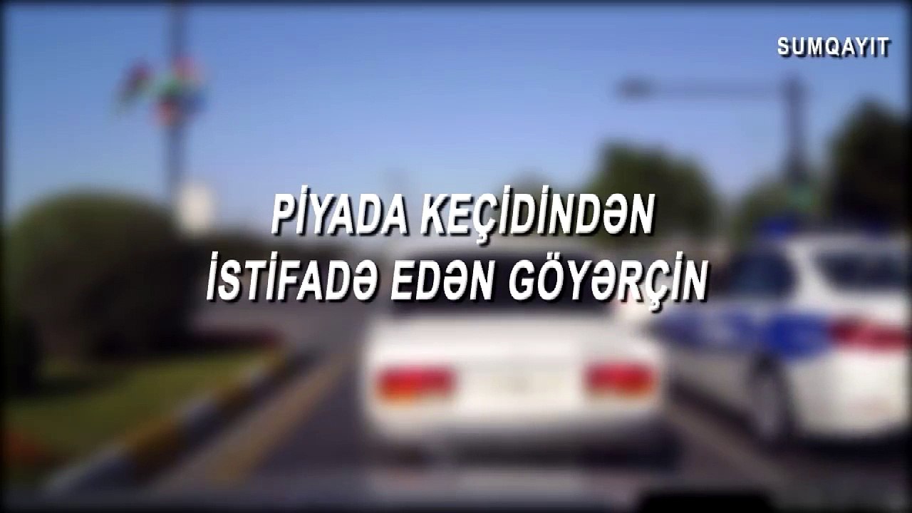 Голубь, использующий пешеход