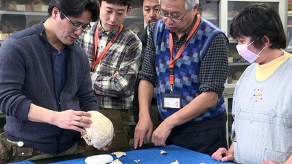 Os ossos do missionário