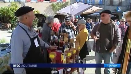 Labastide d'Armagnac - Armagnac en fête 25 et 26 oct 2014 (France 3 Aquitaine)