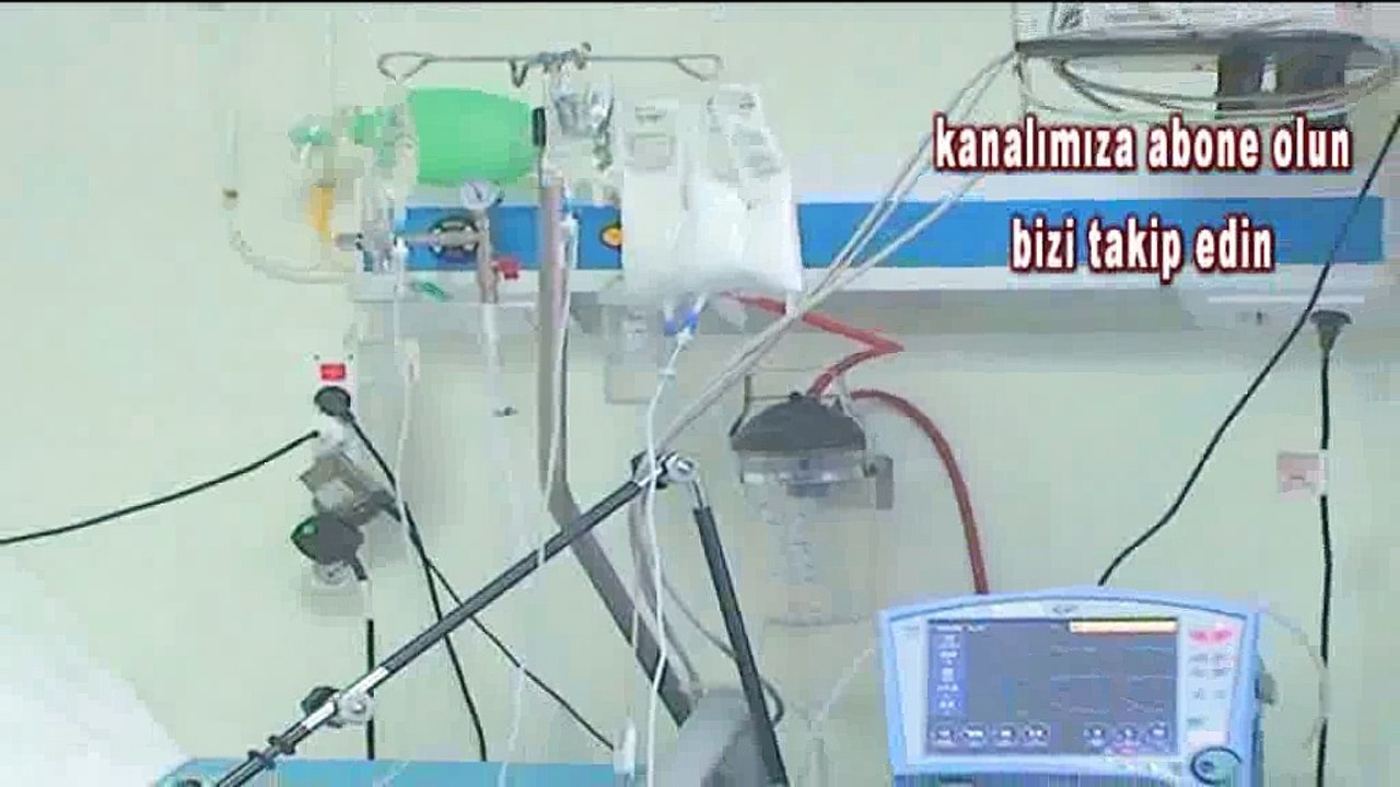 Kanserli Hücreyi İntihara Sürükleyen Süper Baharat  !!!