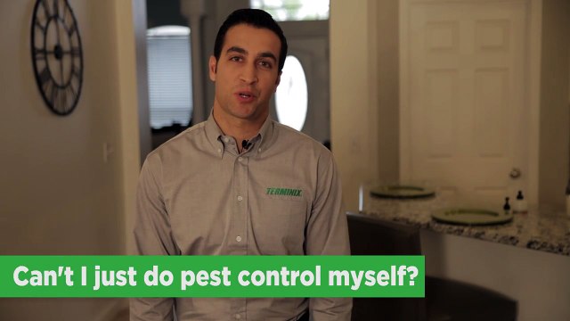 Protect Home From Pests - Can I Do Pest Control Myself - Terminix