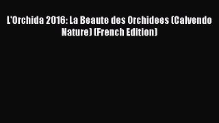 Read L'Orchida 2016: La Beaute des Orchidees (Calvendo Nature) (French Edition) Ebook Free