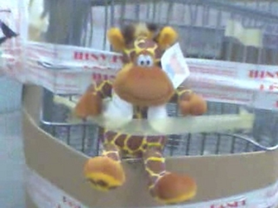 Les préparatifs du vol du caddie