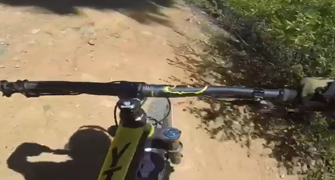 Un ourson coupe la route de ce cycliste et le fait chuter violemment