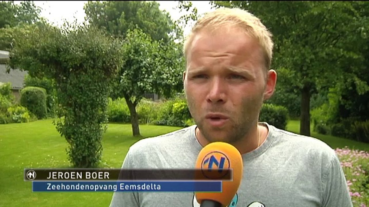 Ze zijn goed ondergebracht - RTV Noord