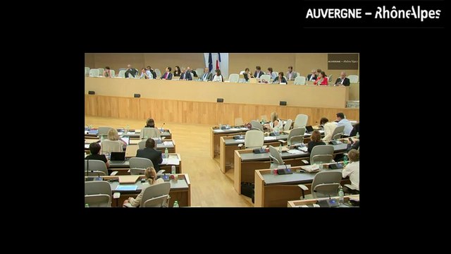 AP 23 juin 2016 ● Intervention de la V.-P. Juliette JARRY sur le voeu du F.N. (artisans bouchers charcutiers)