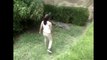 Girl Enters Crocodile Enclosure At Zoo - Woman climbs into Mexican zoo enclosure, pokes crocodile