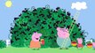 Peppa Pig Cartoon ||    Mummy Pig In The Blackberry Bush clip