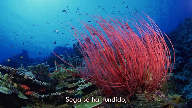 Mario vs Sonic Épicas Batallas de Rap del Frikismo