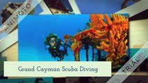 The Best Diving in the Cayman Islands