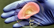 3D Yazıcı İle Üretilen Organlar Sağlık Alanında Devrim Yaratacak