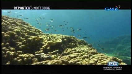 Reporters Notebook - June 23, 2016 Part 4