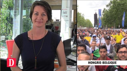 Flash Info - Jeudi 23 juin 2016