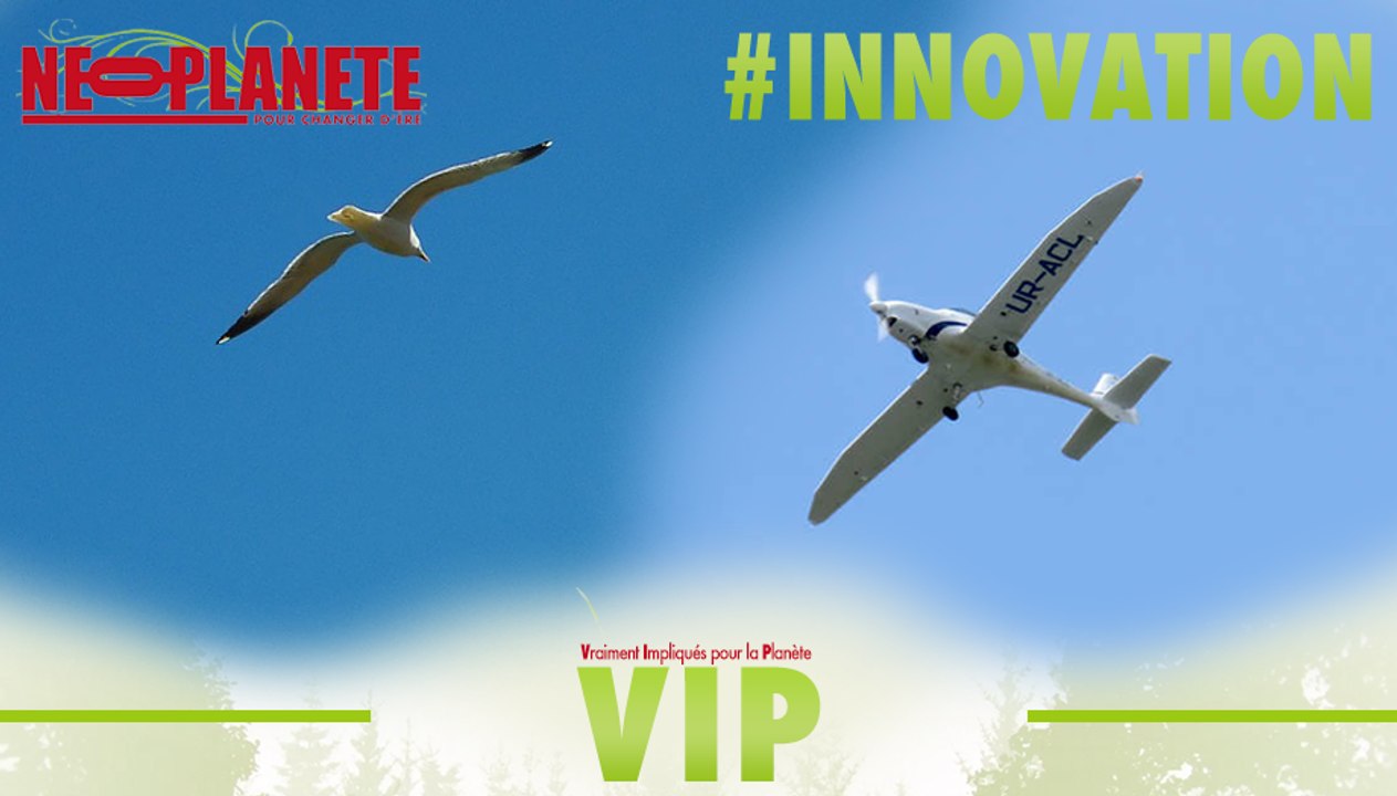 [VIP] Biomimétisme : pourquoi l'innovation imite la nature