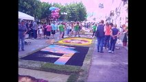Infiorata 2015 parte 4