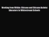 Read Working from Within: Chicana and Chicano Activist Educators in Whitestream Schools PDF