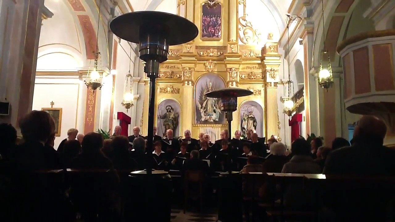 Orfeón Mare Nostrum en Facheca 28/12/13 1